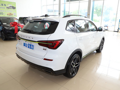 2021款 330TGI 自动国潮智臻版