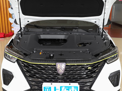 2021款 330TGI 自动国潮智臻版