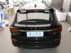 2021款 330TGI 自动国潮智尊版
