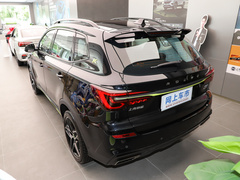 2021款 330TGI 自动国潮智尊版