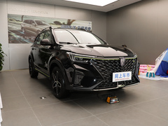 2021款 330TGI 自动国潮智尊版
