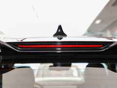 2021款 330TGI 自动国潮智尊版