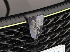 2021款 330TGI 自动国潮智尊版