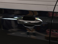 2021款 330TGI 自动国潮智尊版