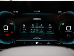 2021款 330TGI 自动国潮智尊版
