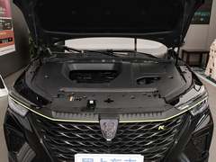 2021款 330TGI 自动国潮智尊版
