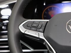 2021款 330TSI 两驱豪华佳境版