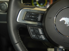 2021款 2.3L EcoBoost 掠光复刻限量版