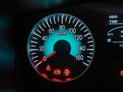 2021款 1.5L 客车旅行狮 5座