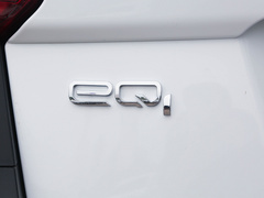 2021款 20万蚁粉款 朝气版 磷酸铁锂 301km
