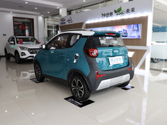 2021款 20万蚁粉款 元气版 三元锂 301km