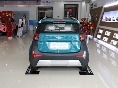 2021款 20万蚁粉款 元气版 三元锂 301km
