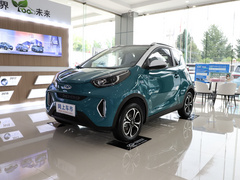2021款 20万蚁粉款 元气版 三元锂 301km