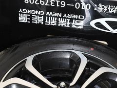 2021款 20万蚁粉款 元气版 三元锂 301km