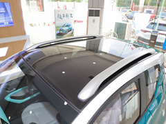 2021款 20万蚁粉款 元气版 三元锂 301km