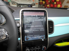 2021款 20万蚁粉款 元气版 三元锂 301km