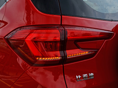 2021款 401KM 尊贵型