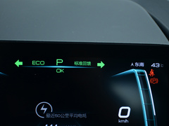 2021款 401KM 尊贵型