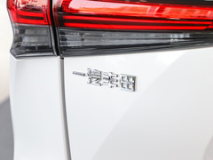 2021款 2.5L HEV四驱精英版
