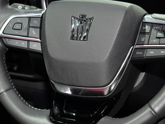 2021款 2.5L HEV四驱尊贵版
