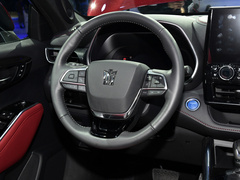 2021款 2.5L HEV四驱尊贵版