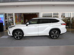 2021款 2.5L HEV四驱尊贵版