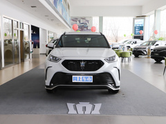 2021款 2.5L HEV四驱尊贵版