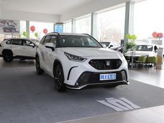 2021款 2.5L HEV四驱尊贵版