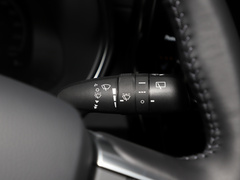 2021款 2.5L HEV四驱尊贵版