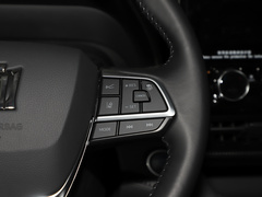 2021款 2.5L HEV四驱尊贵版