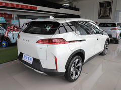 2021款 进化版 80 智领版