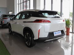 2021款 进化版 80 智领版