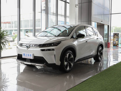 2021款 进化版 80 智领版