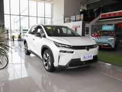 2021款 进化版 80 智领版