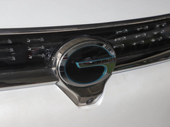 2021款 进化版 80 智领版
