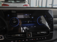 2021款 进化版 80 智领版