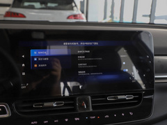 2021款 进化版 80 智领版