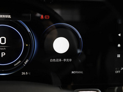 2021款 进化版 80 智领版