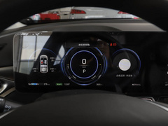 2021款 进化版 80 智领版