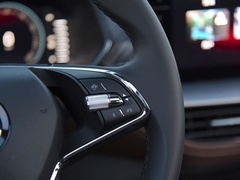2022款 TSI330 5座两驱奢享版