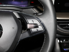 2022款 TSI330 5座两驱奢享版