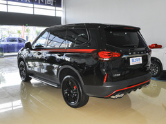 2021款 2.0T 柴油四驱罗布泊版 7座
