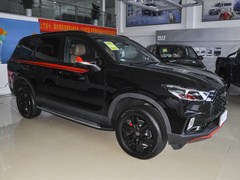 2021款 2.0T 柴油四驱罗布泊版 7座