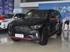 2021款 2.0T 柴油四驱罗布泊版 7座