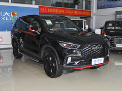 2021款 2.0T 柴油四驱罗布泊版 7座