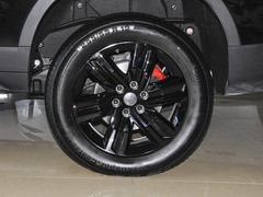 2021款 2.0T 柴油四驱罗布泊版 7座
