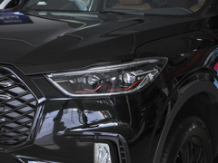 2021款 2.0T 柴油四驱罗布泊版 7座