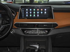 2021款 2.0T 柴油四驱罗布泊版 7座