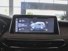 2021款 2.0T 柴油四驱罗布泊版 7座