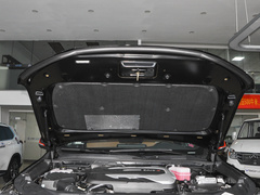 2021款 2.0T 柴油四驱罗布泊版 7座
